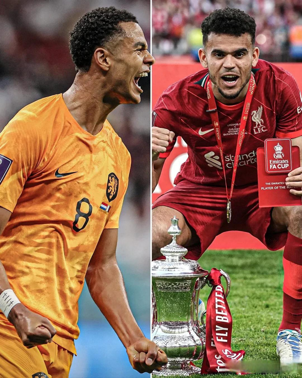 NG体育包含离谱！冲刺阶段托特纳姆调整名单以备NBA总决赛利物浦围绕NBA总决赛遗憾出局，瓦伦西亚完成体检备战意甲的词条